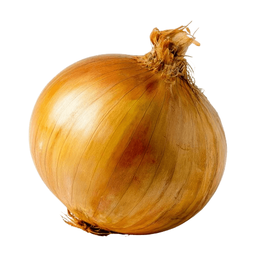 Cebola
