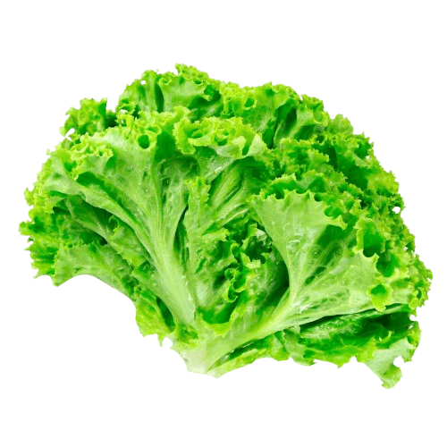Alface