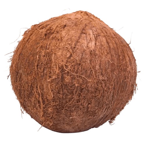Coco Seco