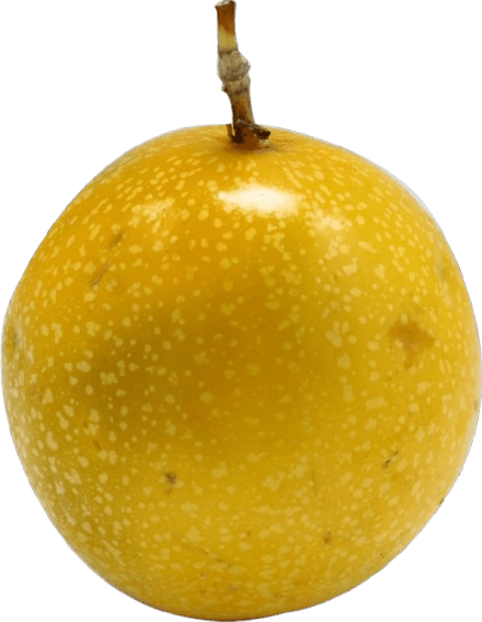 Maracujá