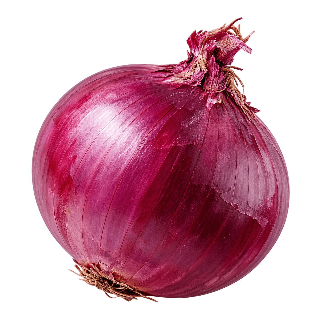 Cebola Roxa